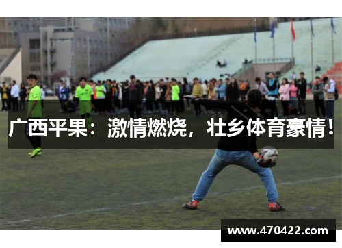 广西平果：激情燃烧，壮乡体育豪情！