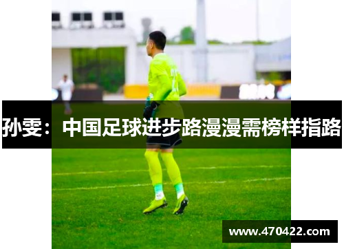 孙雯：中国足球进步路漫漫需榜样指路